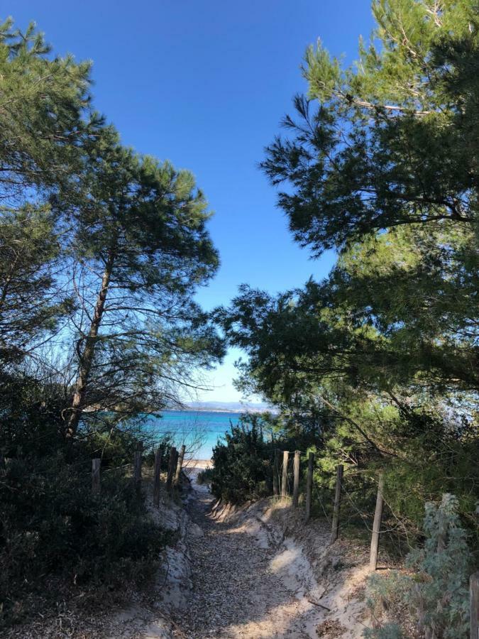 Residence Port Hyeres Les Palmiers Bagian luar foto